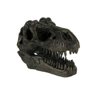 5.75 In Tyrannosaurus Rex Dinosaur Skull Fossil Statue Resin T-Rex Head
